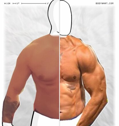 Torso Comparison