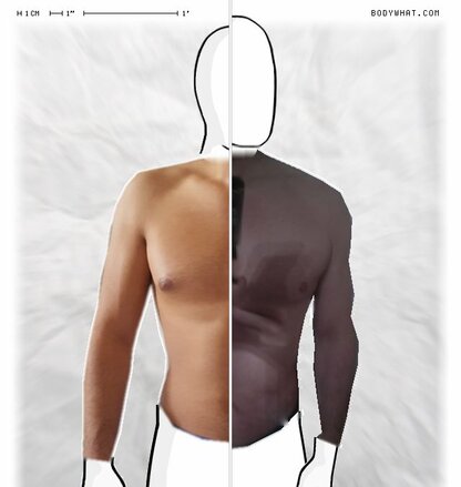 Torso Comparison
