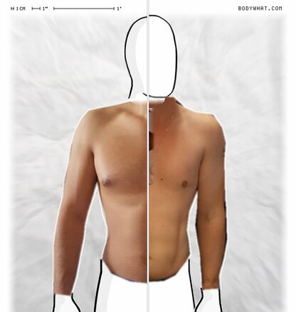 Torso Comparison
