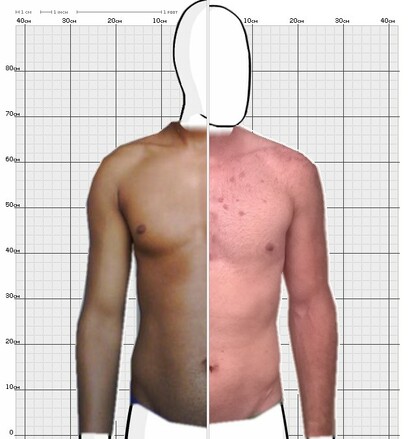 Torso Comparison