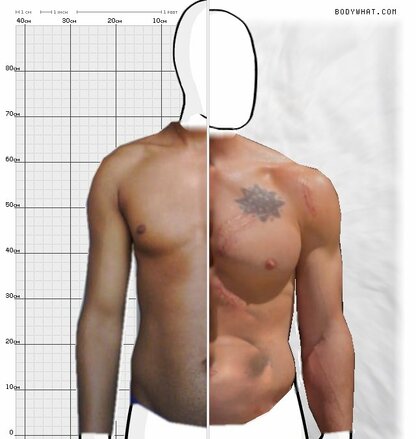 Torso Comparison