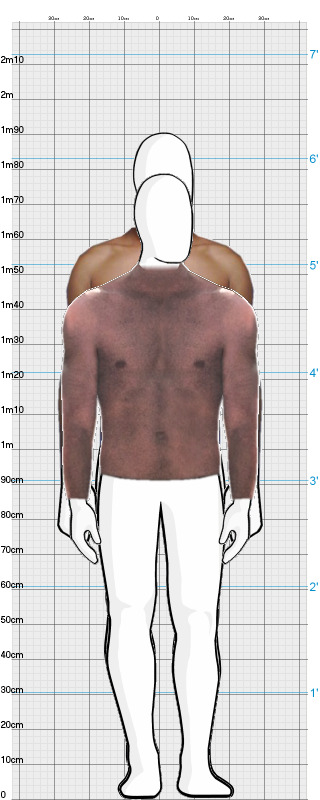 Full Size Comparison
