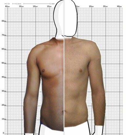 Torso Comparison