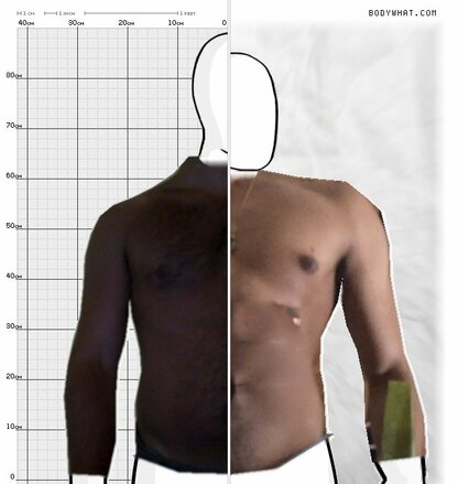 Torso Comparison