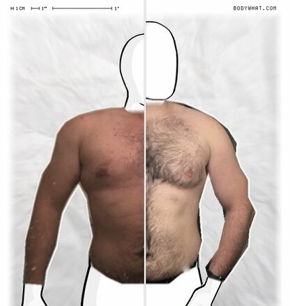 Torso Comparison