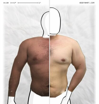 Torso Comparison