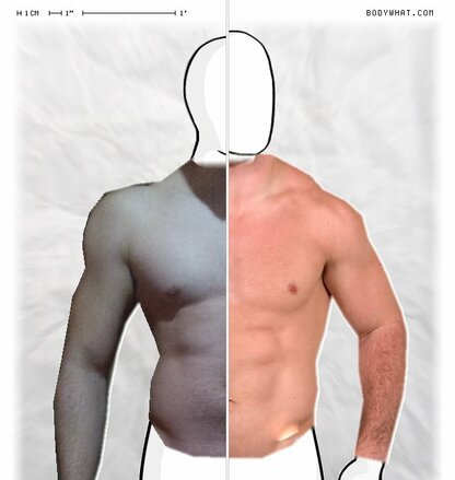 Torso Comparison