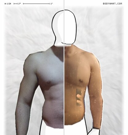 Torso Comparison