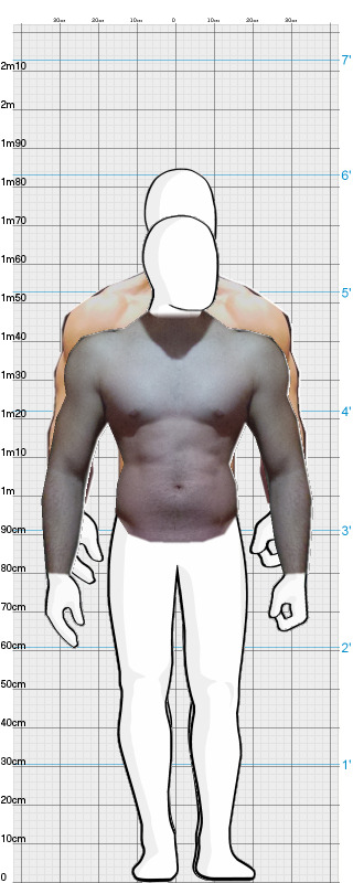 Full Size Comparison