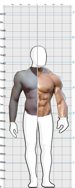 Full Size Comparison