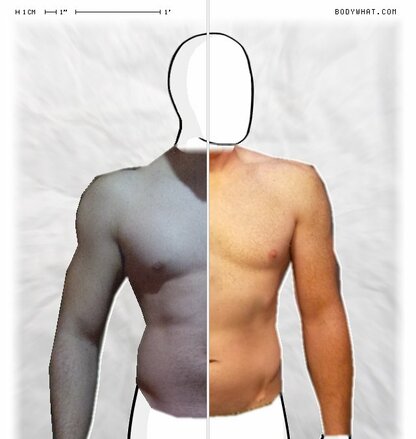 Torso Comparison