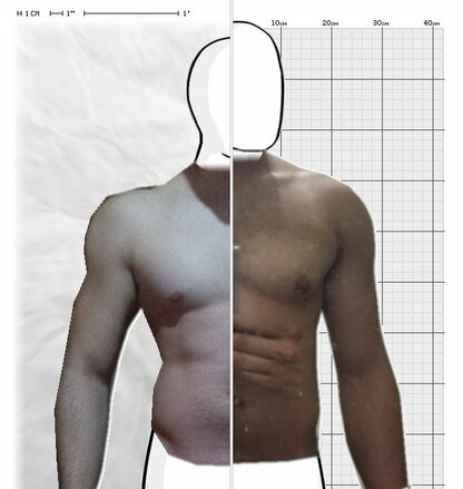 Torso Comparison