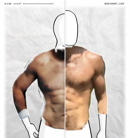 Torso Comparison