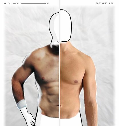 Torso Comparison