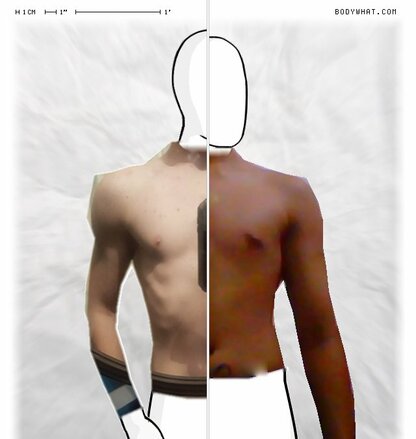 Torso Comparison