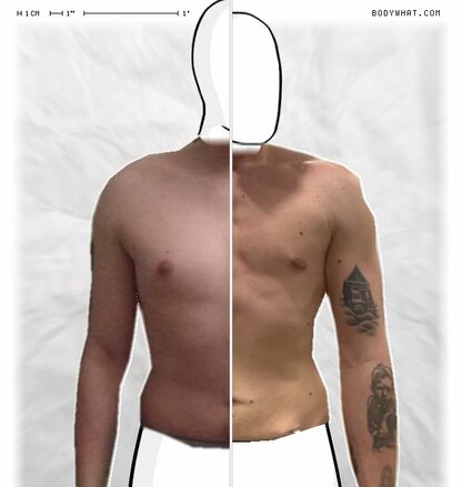 Torso Comparison