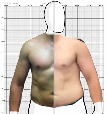 Torso Comparison
