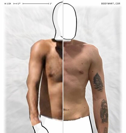 Torso Comparison