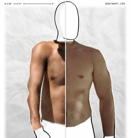 Torso Comparison