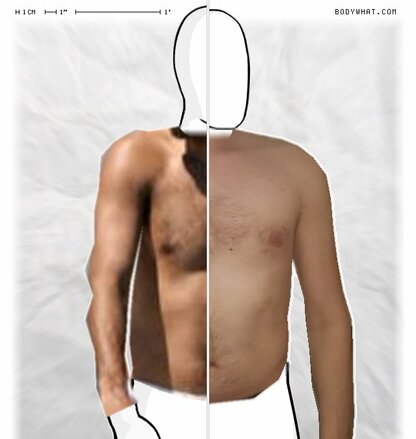 Torso Comparison