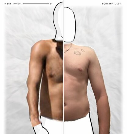 Torso Comparison