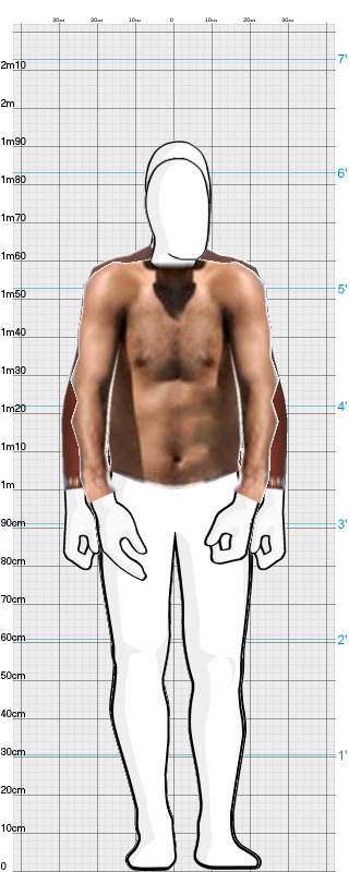 Full Size Comparison
