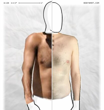 Torso Comparison