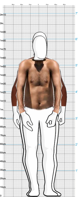 Full Size Comparison