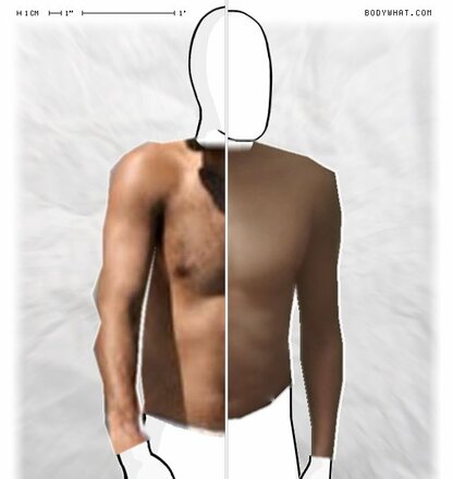 Torso Comparison