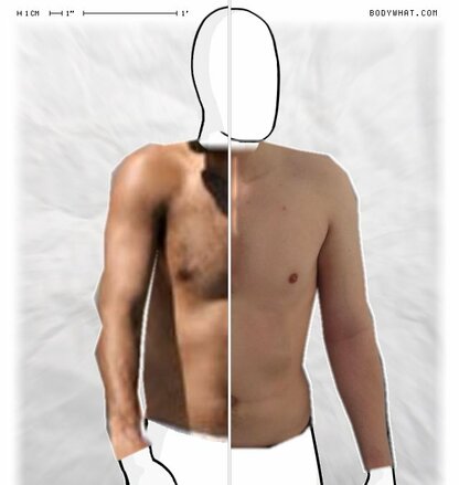 Torso Comparison