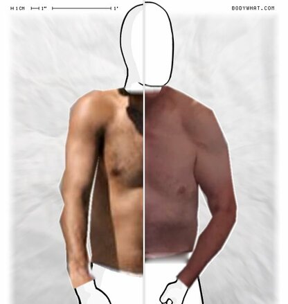 Torso Comparison