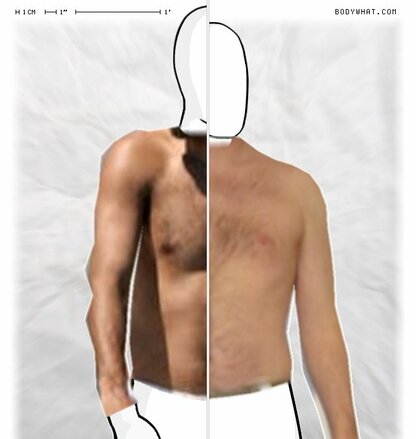 Torso Comparison