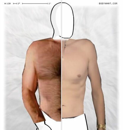 Torso Comparison