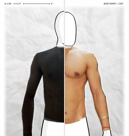 Torso Comparison