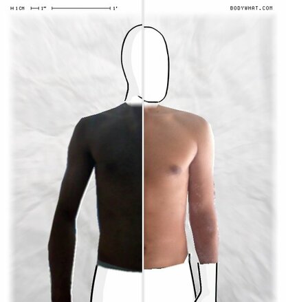 Torso Comparison