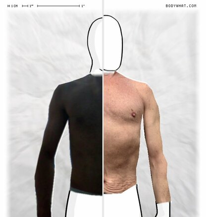 Torso Comparison
