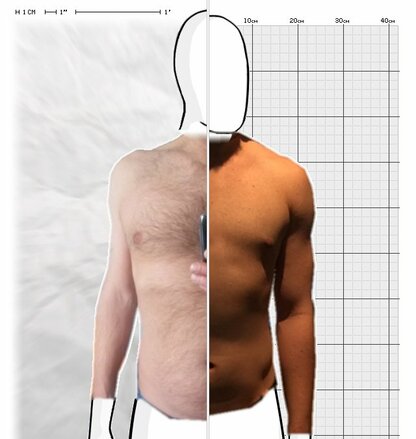 Torso Comparison