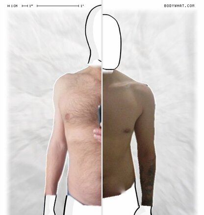 Torso Comparison