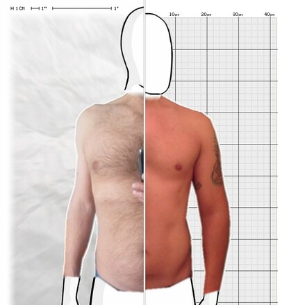 Torso Comparison