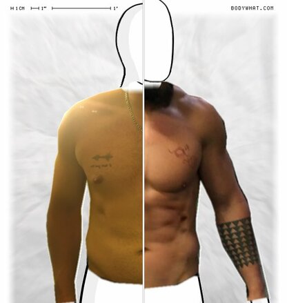 Torso Comparison