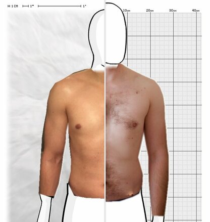 Torso Comparison