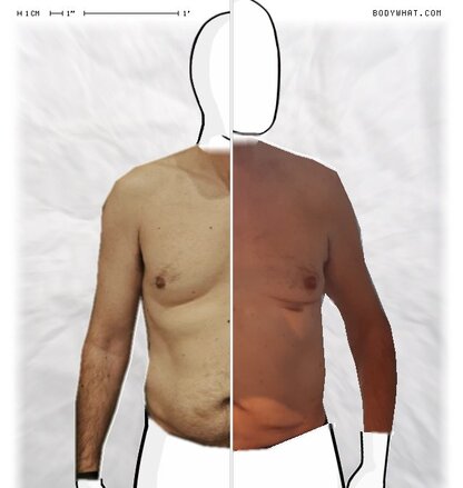 Torso Comparison