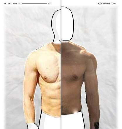 Torso Comparison