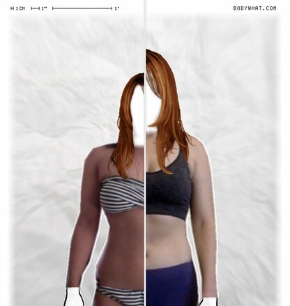 Torso Comparison