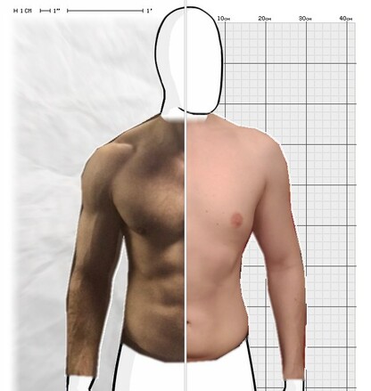 Torso Comparison