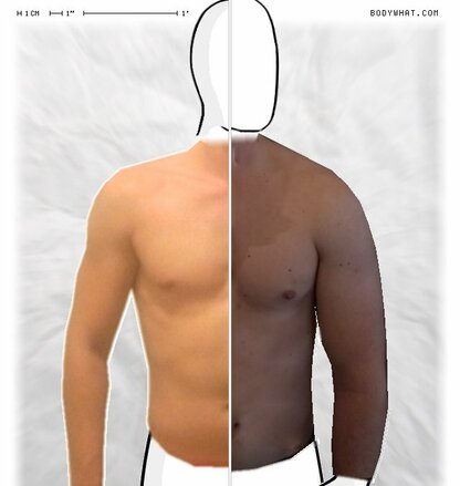 Torso Comparison