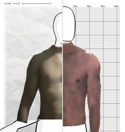 Torso Comparison