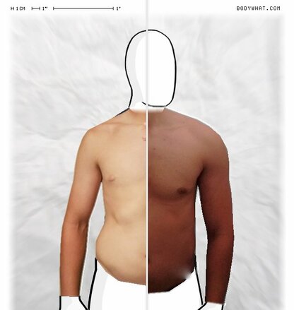 Torso Comparison