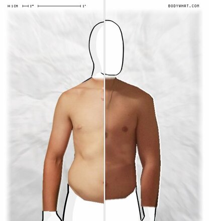 Torso Comparison