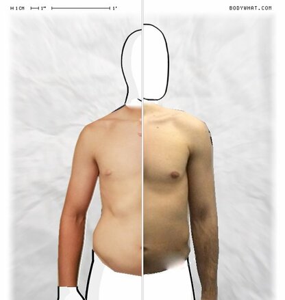 Torso Comparison